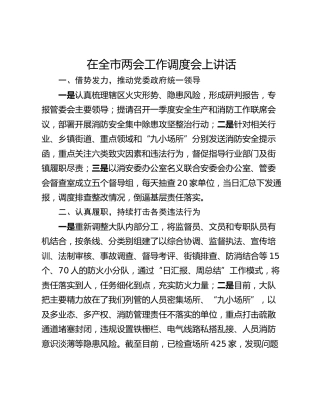 在全市两会工作调度会上讲话
