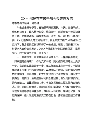 XX村书记在三级干部会议表态发言