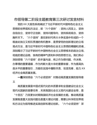 市领导第二阶段主题教育第三次研讨发言材料