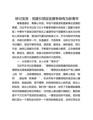 研讨发言：党建引领促发展争做有为新青年