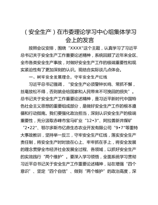 （安全生产）在市委理论学习中心组集体学习会上的发言