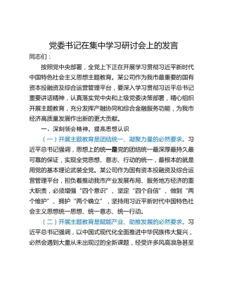 党委书记在集中学习研讨会上的发言