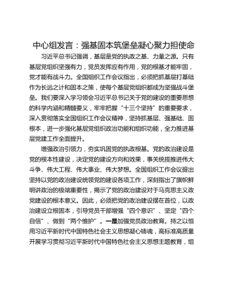 中心组发言：强基固本筑堡垒凝心聚力担使命