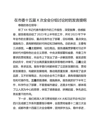 在市委十五届X次全会分组讨论时的发言提纲