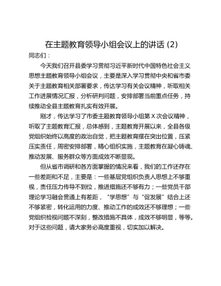 在主题教育领导小组会议上的讲话 (2)