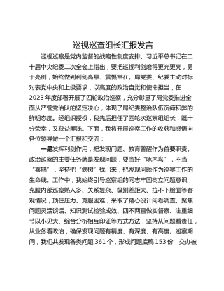 巡视巡查组长汇报发言