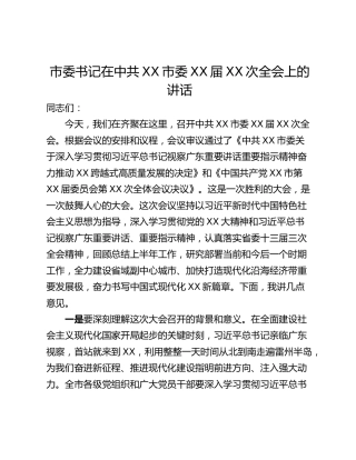 市委书记在中共XX市委XX届XX次全会上的讲话