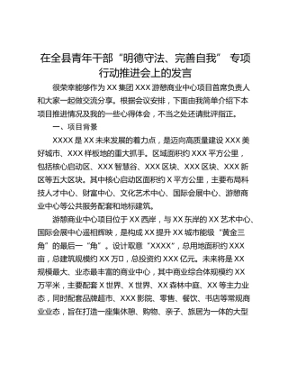 在全县青年干部“明德守法、完善自我” 专项行动推进会上的发言
