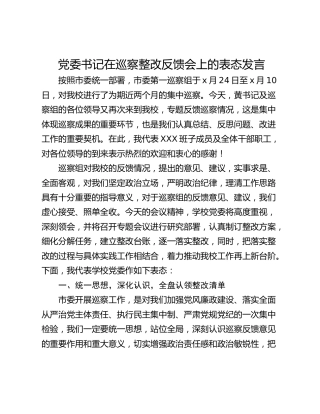党委书记在巡察整改反馈会上的表态发言