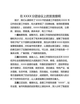 在XXXX分团会议上的发言提纲
