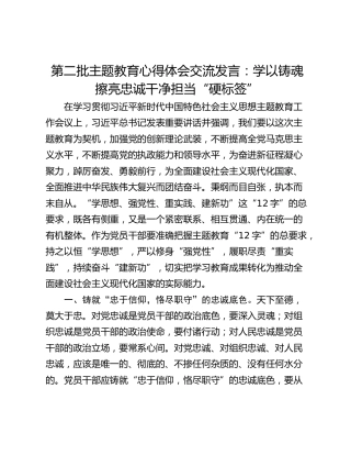 第二批主题教育心得体会交流发言：学以铸魂 擦亮忠诚干净担当“硬标签”