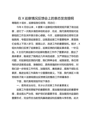 在X巡察情况反馈会上的表态发言提纲
