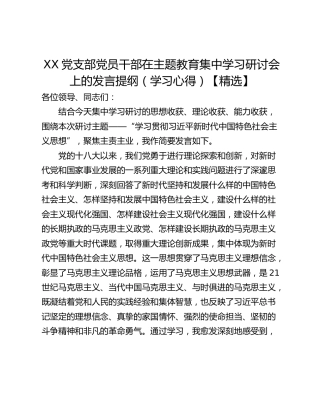 XX党支部党员干部在主题教育集中学习研讨会上的发言提纲（学习心得）【精选】