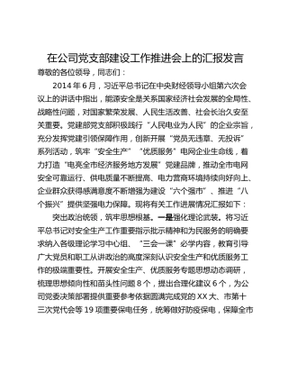 在公司党支部建设工作推进会上的汇报发言