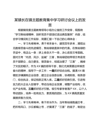 某镇长在镇主题教育集中学习研讨会议上的发言