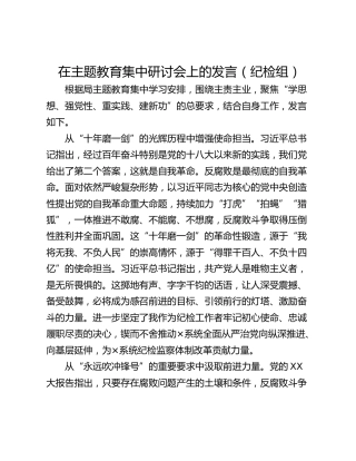 在主题教育集中研讨会上的发言（纪检组）