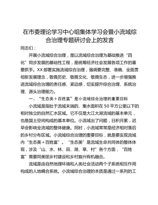 在市委理论学习中心组集体学习会暨小流域综合治理专题研讨会上的发言
