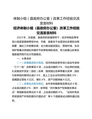 体制小组（县政府办公室）改革工作经验交流发言材料