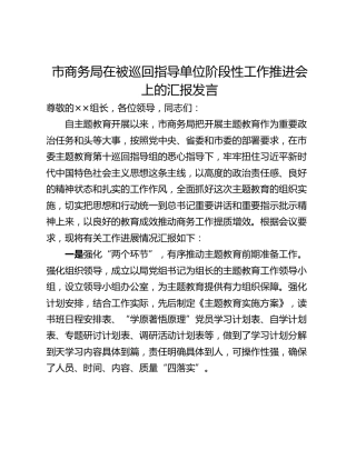 市商务局在被巡回指导单位阶段性工作推进会上的汇报发言