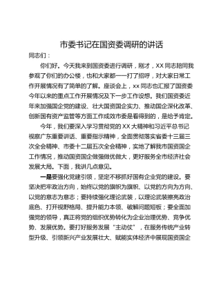 市委书记在国资委调研的讲话