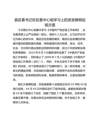 县区委书记在区委中心组学习上的发言提纲巡视方面