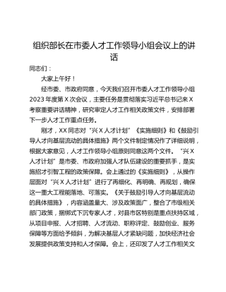 组织部长在市委人才工作领导小组会议上的讲话