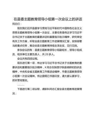 在县委主题教育领导小组第一次会议上的讲话
