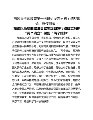 市领导主题教育第一次研讨发言材料（统战部长、宣传部长）