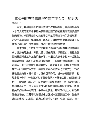 市委书记在全市基层党建工作会议上的讲话
