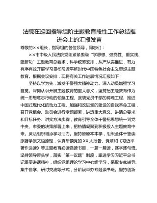 法院在巡回指导组阶主题教育段性工作总结推进会上的汇报发言