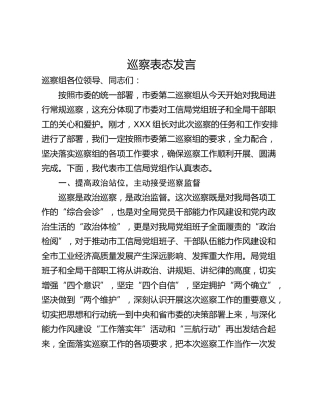 巡察表态发言