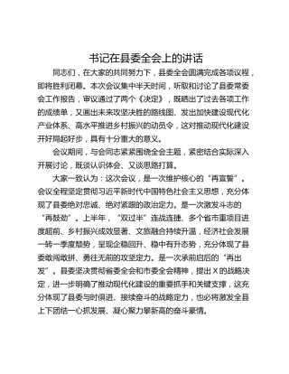 书记在县委全会上的讲话