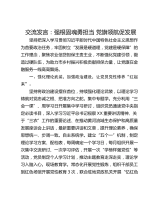 交流发言：强根固魂勇担当 党旗领航促发展