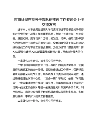 市审计局在党外干部队伍建设工作专题会上作交流发言
