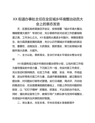 XX街道办事处主任在全区城乡环境整治动员大会上的表态发言
