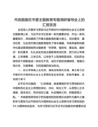 市政数据在市委主题教育专题调研督导会上的汇报发言
