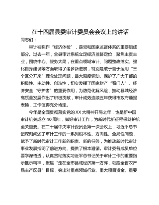 在十四届县委审计委员会会议上的讲话