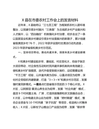 X县在市委农村工作会上的发言材料