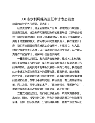 XX市水利局经济责任审计表态发言
