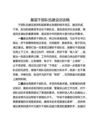 基层干部队伍建设访谈稿