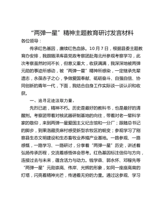 “两弹一星”精神主题教育研讨发言材料