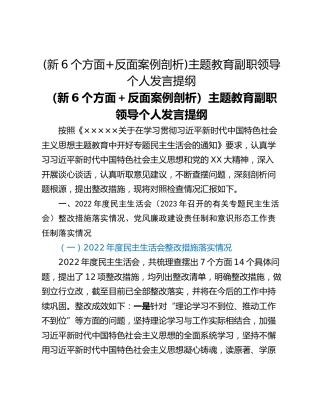(新6个方面反面案例剖析)主题教育副职领导个人发言提纲