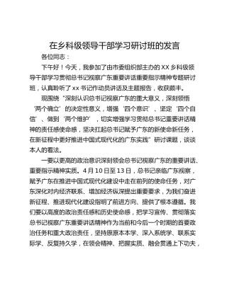 在乡科级领导干部学习研讨班的发言