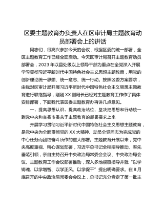 区委主题教育办负责人在区审计局主题教育动员部署会上的讲话