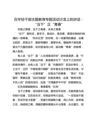 在年轻干部主题教育专题活动沙龙上的讲话：“当下”正“青春”