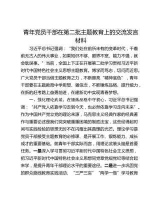 青年党员干部在第二批主题教育上的交流发言材料