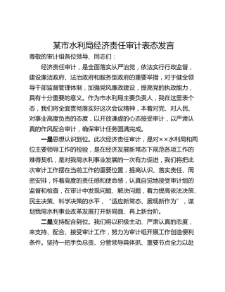 某市水利局经济责任审计表态发言