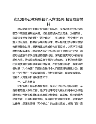 市纪委书记教育整顿个人党性分析报告发言材料