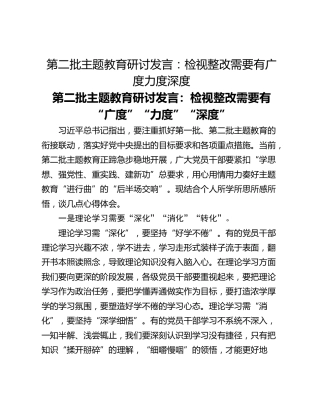 第二批主题教育研讨发言：检视整改需要有广度力度深度