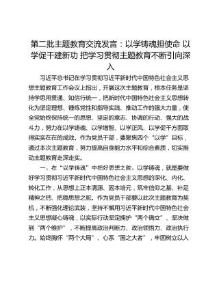 第二批主题教育交流发言：以学铸魂担使命 以学促干建新功 把学习贯彻主题教育不断引向深入